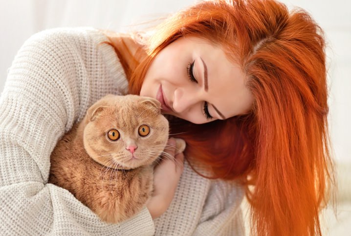 8 Curiosidades sobre gatos: verdades X mitos