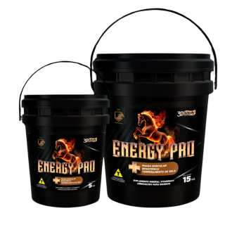 ENERGY PRO